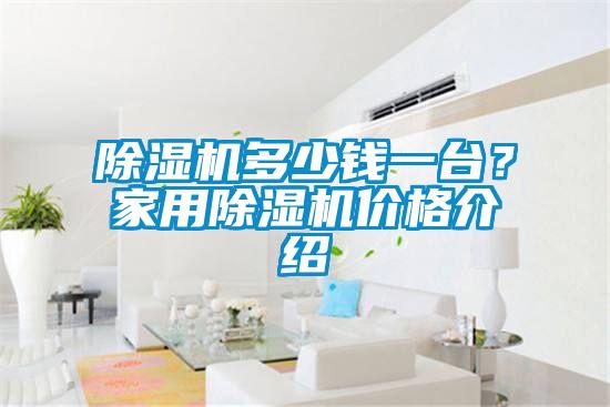 欧美黄色性爱视频网站 除湿机多少钱一台？家用除湿机价格介绍
