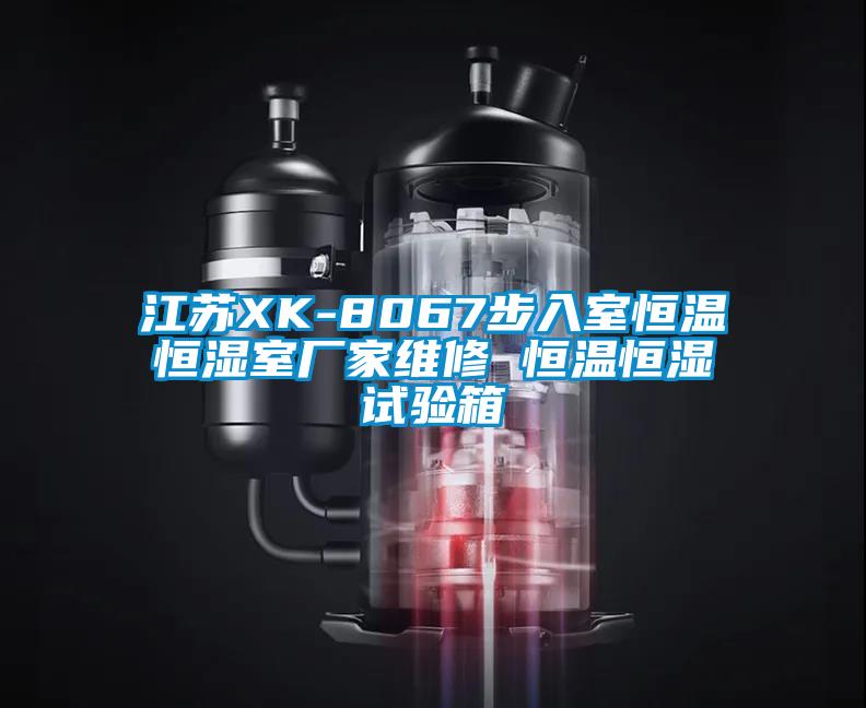 欧美黄色电影在线播放 江苏XK-8067步入室恒温恒湿室厂家维修 恒温恒湿试验箱