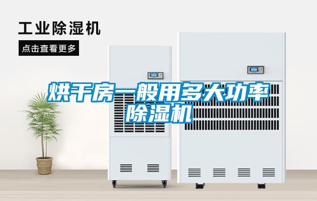 欧美成色手机在线观看 烘干房一般用多大功率除湿机