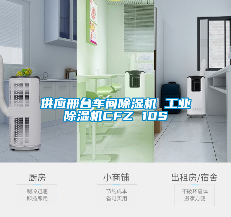 欧美成色手机在线观看 供应邢台车间除湿机 工业除湿机CFZ 10S