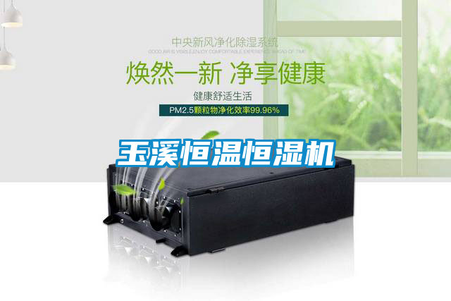 欧美黄色性爱视频网站 玉溪恒温恒湿机