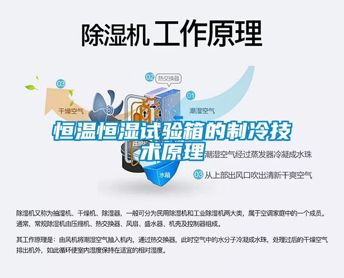 欧美黄色性爱视频网站 恒温恒湿试验箱的制冷技术原理