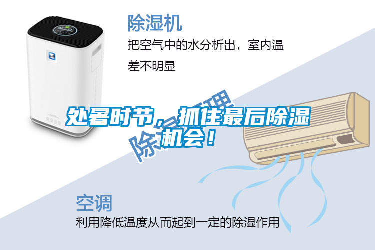 欧美黄色电影在线播放 处暑时节，抓住最后除湿机会！