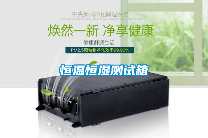 欧美黄色性爱视频网站 恒温恒湿测试箱