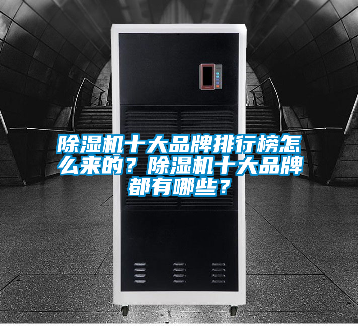 欧美黄色性爱视频网站 除湿机十大品牌排行榜怎么来的？除湿机十大品牌都有哪些？