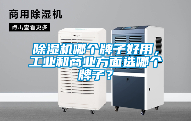 欧美成色手机在线观看 除湿机哪个牌子好用，工业和商业方面选哪个牌子？