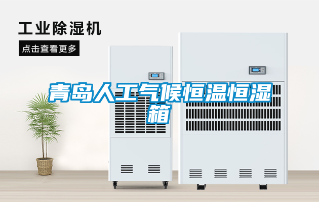 欧美黄色性爱视频网站 青岛人工气候恒温恒湿箱