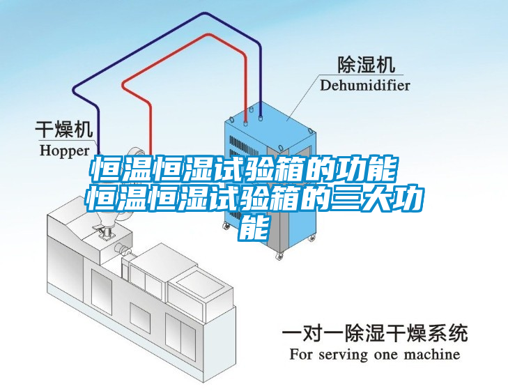 欧美黄色性爱视频网站 恒温恒湿试验箱的功能 恒温恒湿试验箱的三大功能