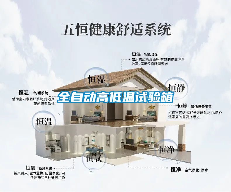 欧美黄色电影在线播放 全自动高低温试验箱
