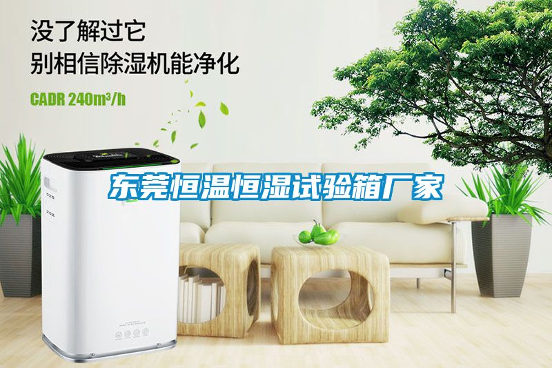 欧美黄色性爱视频网站 东莞恒温恒湿试验箱厂家