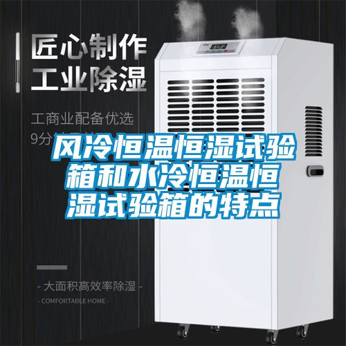 欧美黄色性爱视频网站 风冷恒温恒湿试验箱和水冷恒温恒湿试验箱的特点