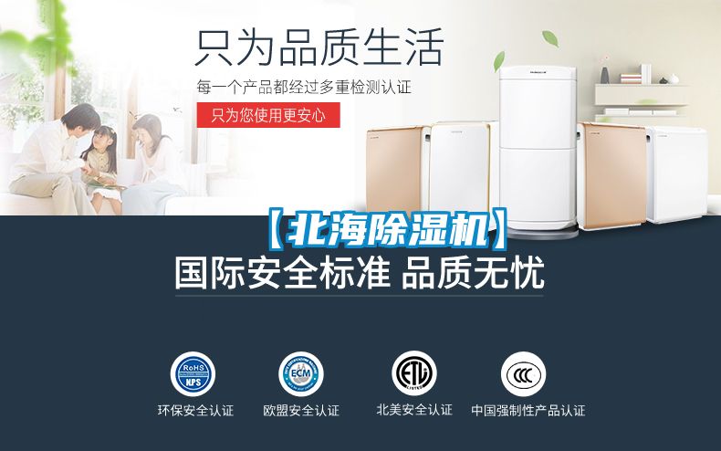 欧美黄色电影在线播放 【北海除湿机】