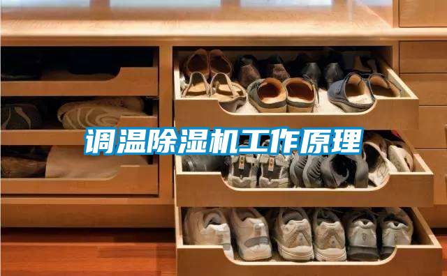 欧美黄色电影在线播放 调温除湿机工作原理