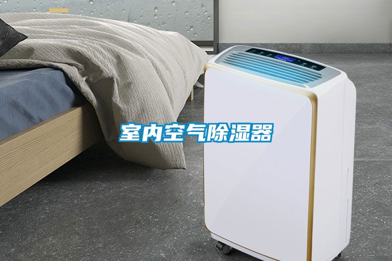 欧美成色手机在线观看 室内空气除湿器