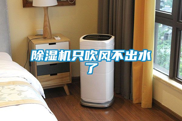 欧美黄色电影在线播放 除湿机只吹风不出水了