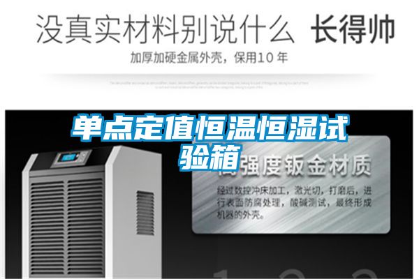 欧美成色手机在线观看 单点定值恒温恒湿试验箱