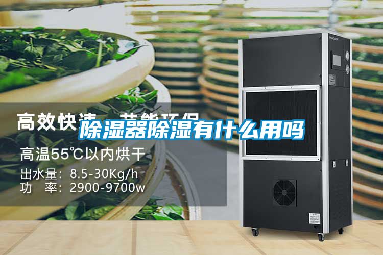 欧美成色手机在线观看 除湿器除湿有什么用吗