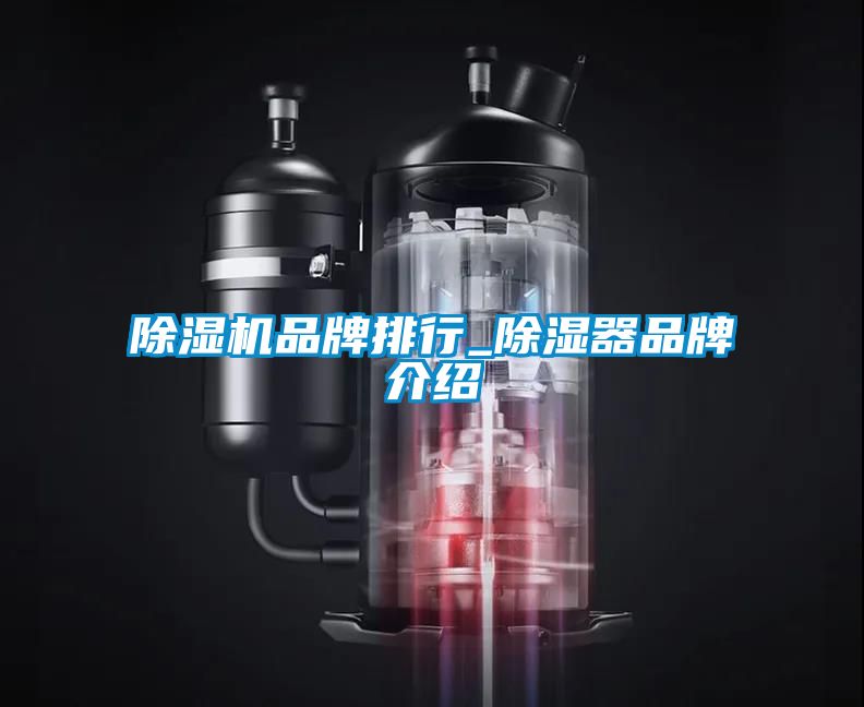 欧美成色手机在线观看 除湿机品牌排行_除湿器品牌介绍