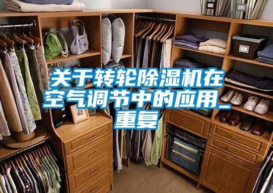欧美黄色性爱视频网站 关于转轮除湿机在空气调节中的应用_重复