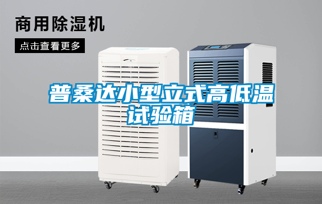 欧美黄色性爱视频网站 普桑达小型立式高低温试验箱