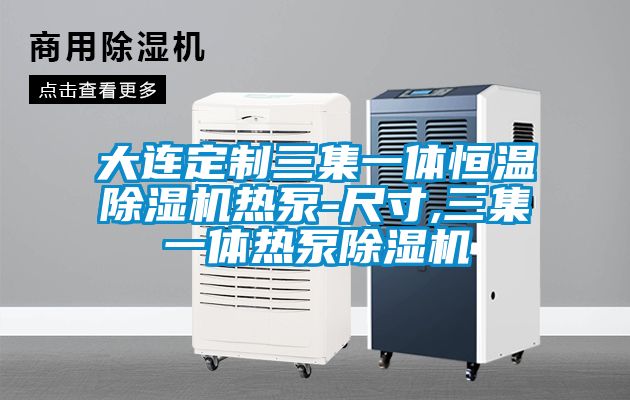 欧美黄色电影在线播放 大连定制三集一体恒温除湿机热泵-尺寸,三集一体热泵除湿机
