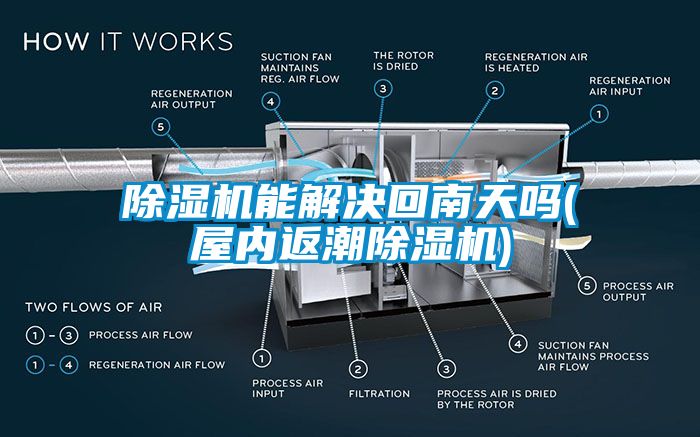 欧美黄色性爱视频网站 除湿机能解决回南天吗(屋内返潮除湿机)