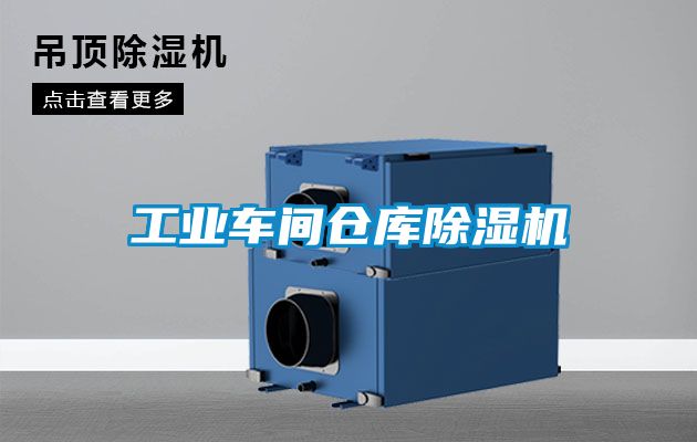 欧美黄色电影在线播放 工业车间仓库除湿机