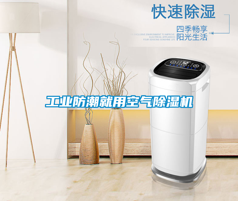 欧美成色手机在线观看 工业防潮就用空气除湿机
