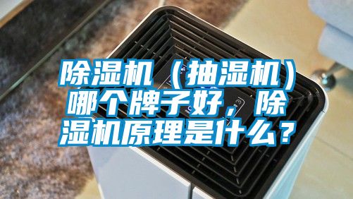 欧美成色手机在线观看 除湿机（抽湿机）哪个牌子好，除湿机原理是什么？