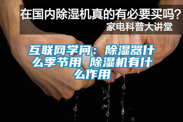 欧美成色手机在线观看 互联网学问：除湿器什么季节用 除湿机有什么作用