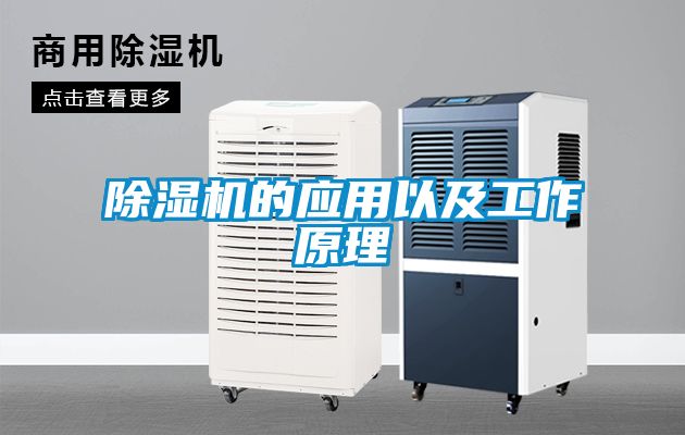 欧美黄色性爱视频网站 除湿机的应用以及工作原理