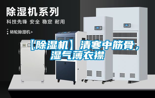 欧美黄色性爱视频网站 【除湿机】清寒中筋骨，湿气薄衣襟