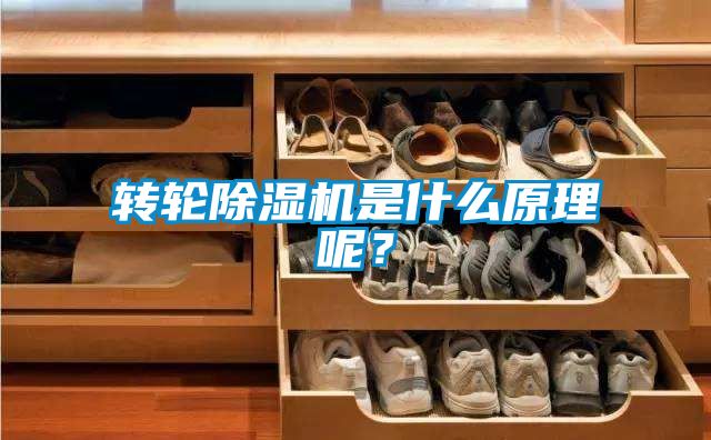 欧美黄色电影在线播放 转轮除湿机是什么原理呢？