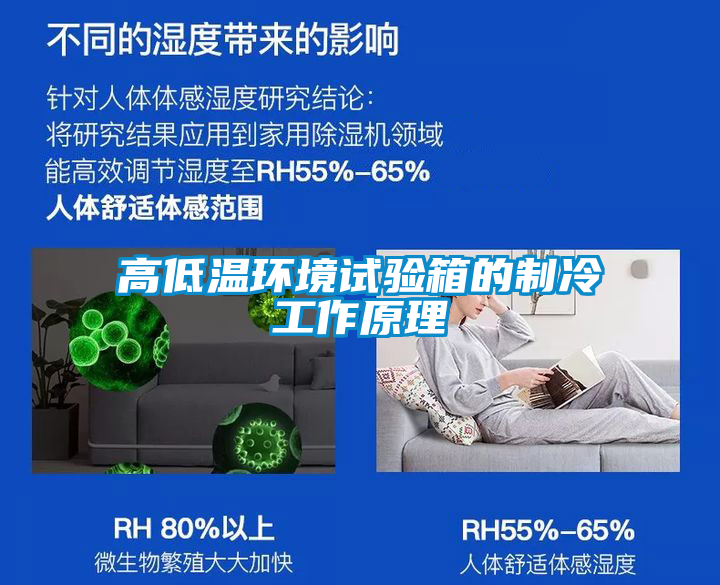 欧美成色手机在线观看 高低温环境试验箱的制冷工作原理