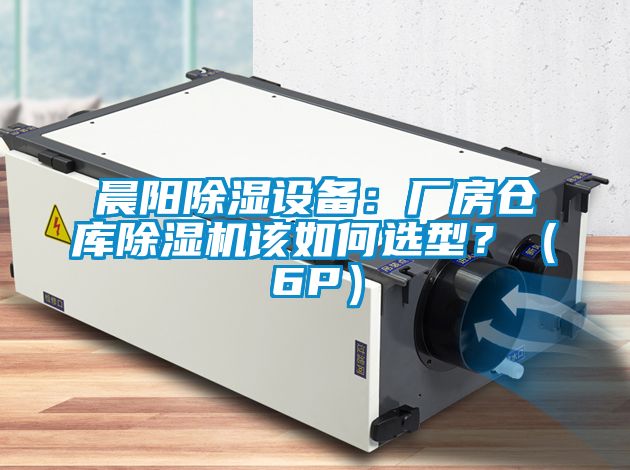 欧美黄色电影在线播放 晨阳除湿设备：厂房仓库除湿机该如何选型？（6P）
