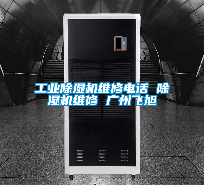欧美黄色性爱视频网站 工业除湿机维修电话 除湿机维修 广州飞旭
