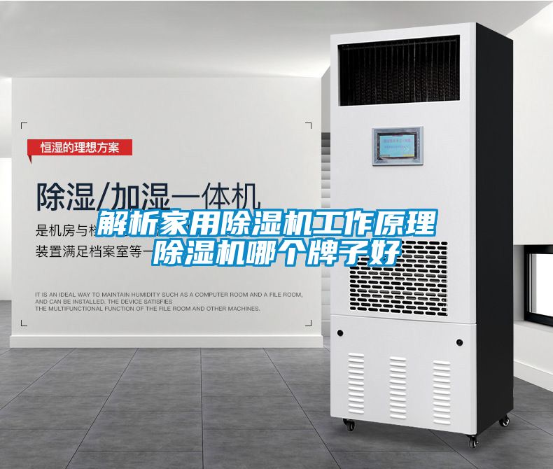 欧美黄色性爱视频网站 解析家用除湿机工作原理 除湿机哪个牌子好