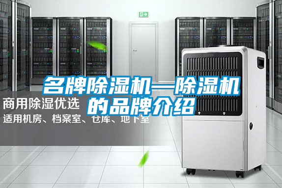 欧美黄色电影在线播放 名牌除湿机—除湿机的品牌介绍