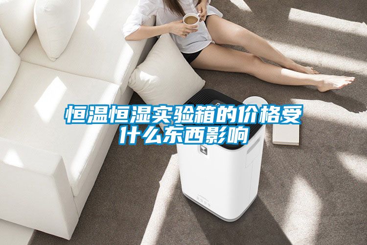 欧美黄色性爱视频网站 恒温恒湿实验箱的价格受什么东西影响