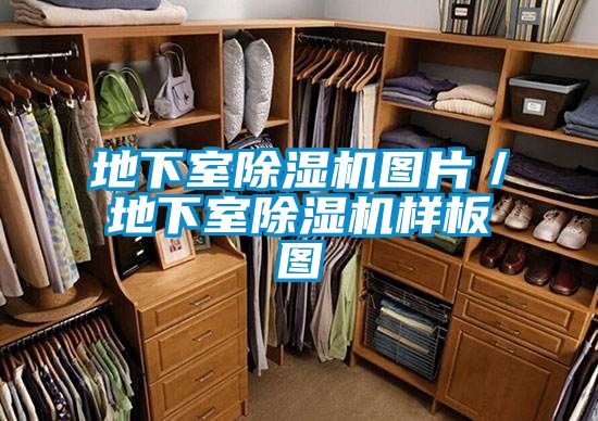 欧美黄色电影在线播放 地下室除湿机图片／地下室除湿机样板图