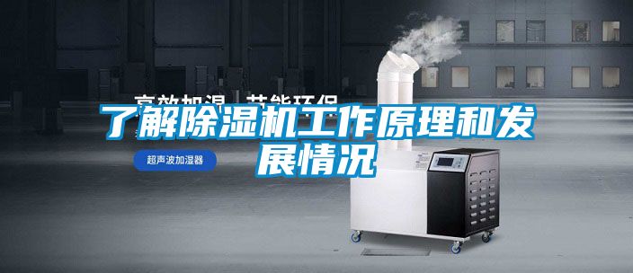 欧美黄色电影在线播放 了解除湿机工作原理和发展情况
