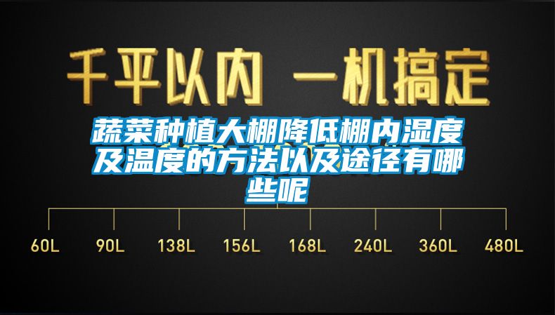 欧美成色手机在线观看 蔬菜种植大棚降低棚内湿度及温度的方法以及途径有哪些呢