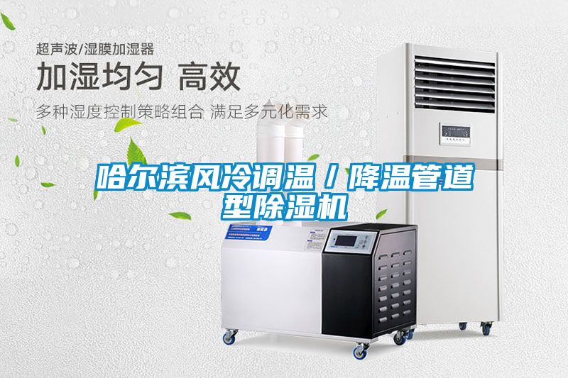 欧美黄色性爱视频网站 哈尔滨风冷调温／降温管道型除湿机