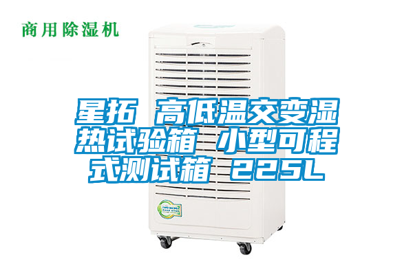 欧美黄色性爱视频网站 星拓 高低温交变湿热试验箱 小型可程式测试箱 225L