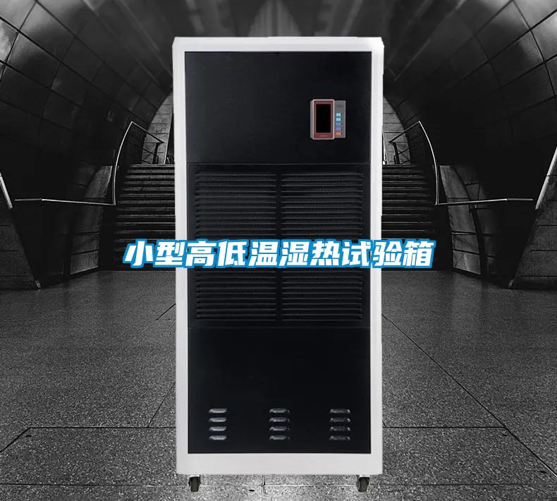 欧美成色手机在线观看 小型高低温湿热试验箱