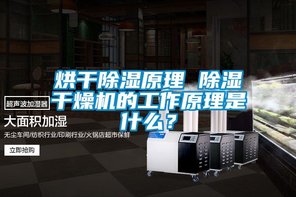 欧美成色手机在线观看 烘干除湿原理 除湿干燥机的工作原理是什么？