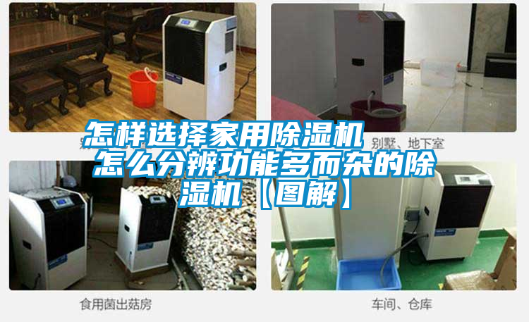 欧美黄色电影在线播放 怎样选择家用除湿机    怎么分辨功能多而杂的除湿机【图解】