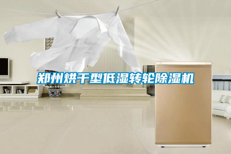 欧美黄色性爱视频网站 郑州烘干型低湿转轮除湿机