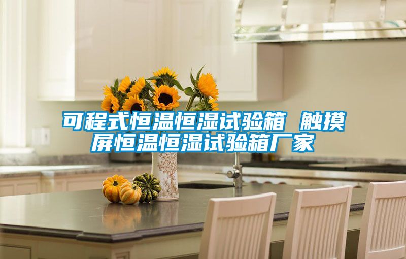 欧美黄色电影在线播放 可程式恒温恒湿试验箱 触摸屏恒温恒湿试验箱厂家
