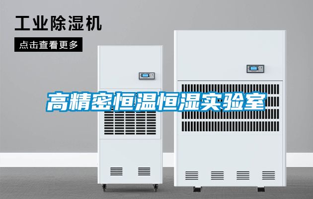 欧美黄色性爱视频网站 高精密恒温恒湿实验室